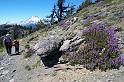 Lookout Mtn